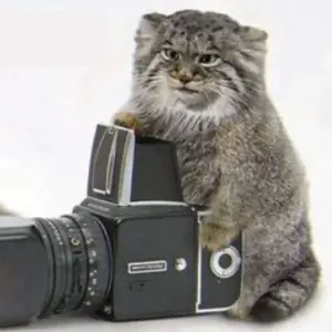 Chris Manul