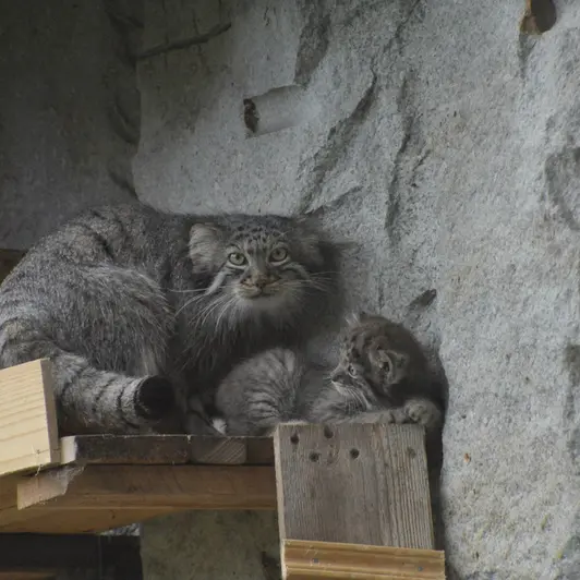 Фотография Варвары и Дарлая в Московском Зоопарке