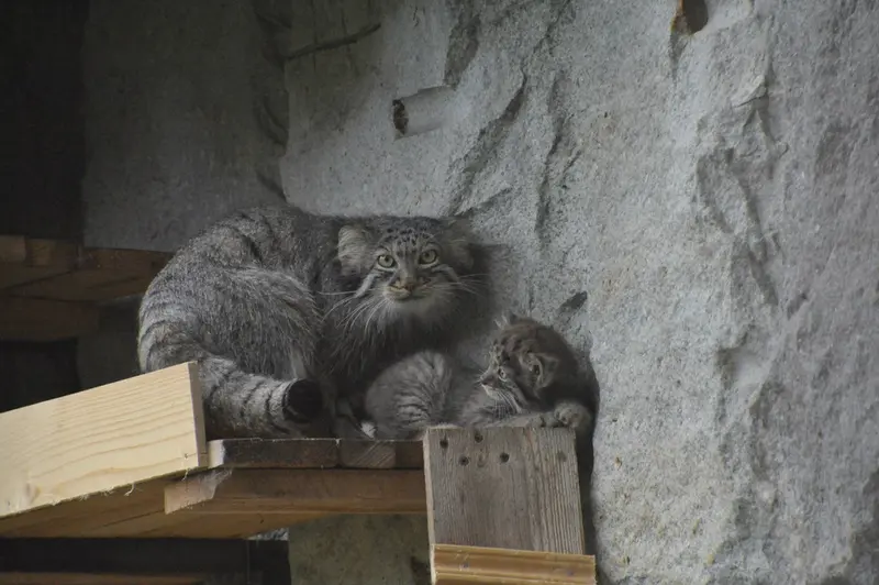 Фотография Варвары и Дарлая в Московском Зоопарке