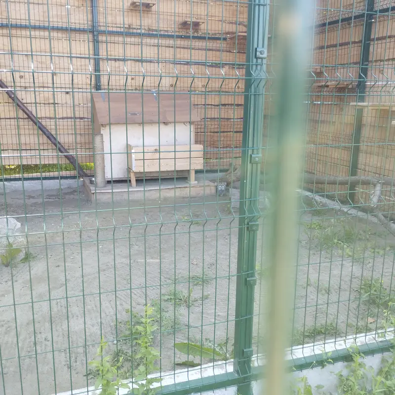 Фотография Чипа в Барнаульском Зоопарке «Лесная сказка»