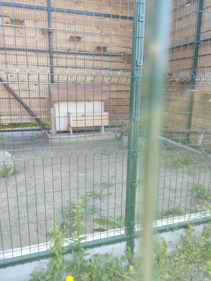 Фотография Чипа в Барнаульском Зоопарке «Лесная сказка»