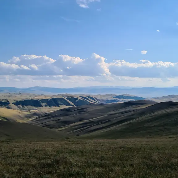 Фотография с манулом