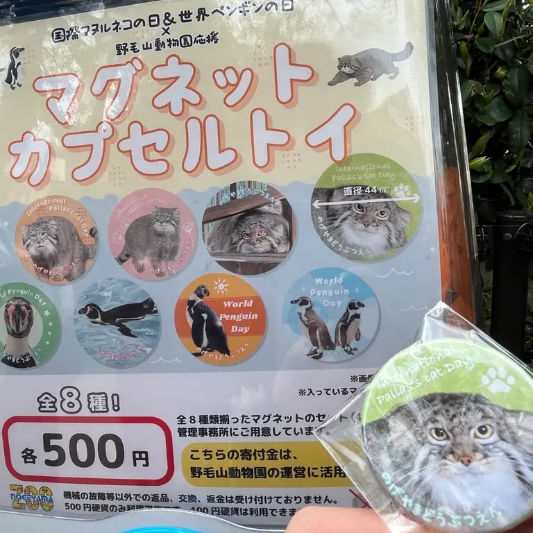 Фотография Фиги в Зоопарке Ногеяме