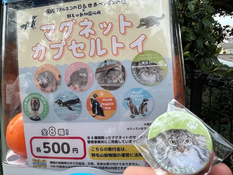 Фотография Фиги в Зоопарке Ногеяме