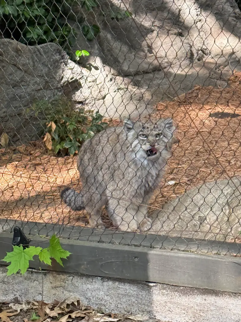 Фотография Бату в Зоопарке Проспект-парка