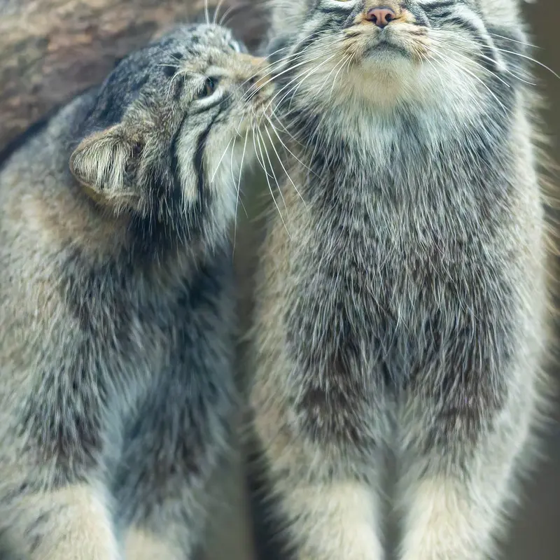 Фотография Мей в Царстве Животных Кобе