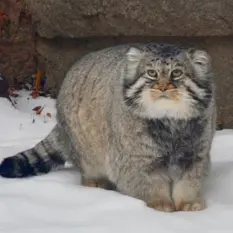 Фотография Вадима в Московском Зоопарке
