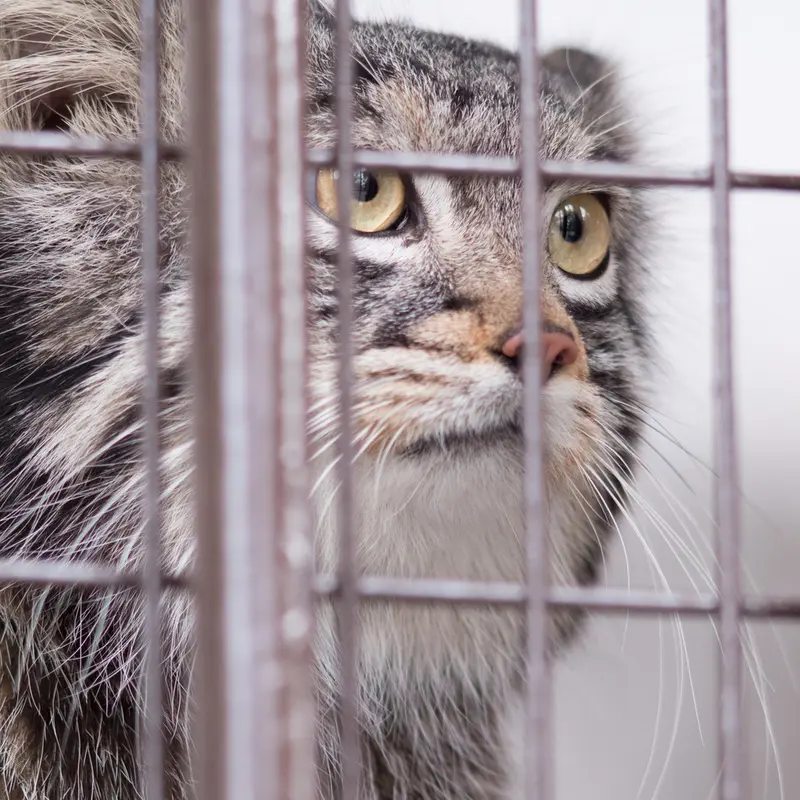 Фотография Фиги в Зоопарке Ногеяме