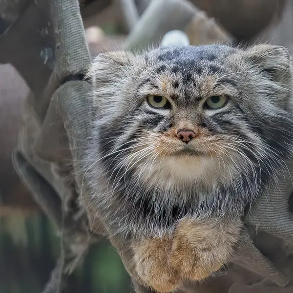 Фотография Жоры в Новосибирском Зоопарке