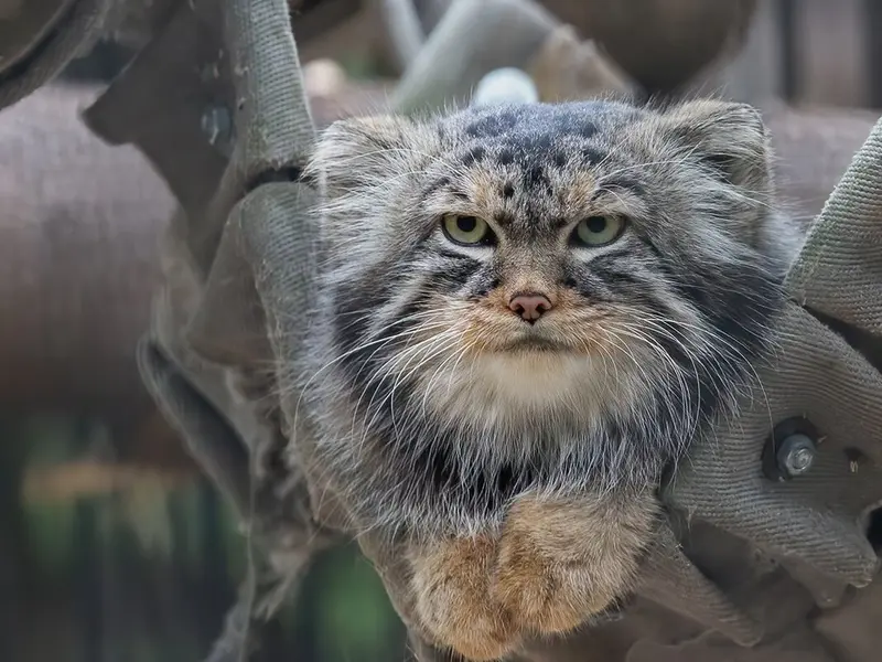 Фотография Жоры в Новосибирском Зоопарке