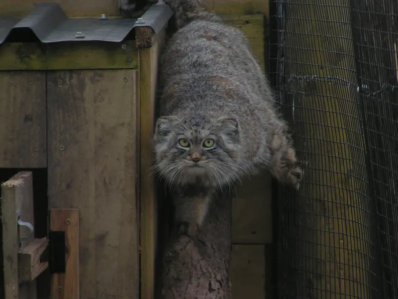 Фотография Алтая в Лэйклэнде Вайлдлайф Оазисе