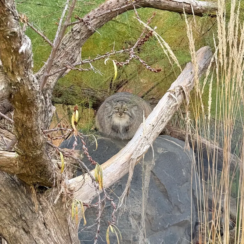 Фотография Принцессы в Пражском Зоопарке