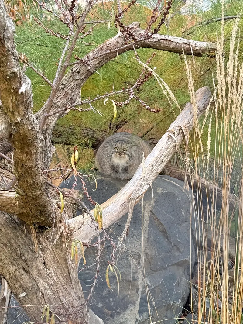 Фотография Принцессы в Пражском Зоопарке