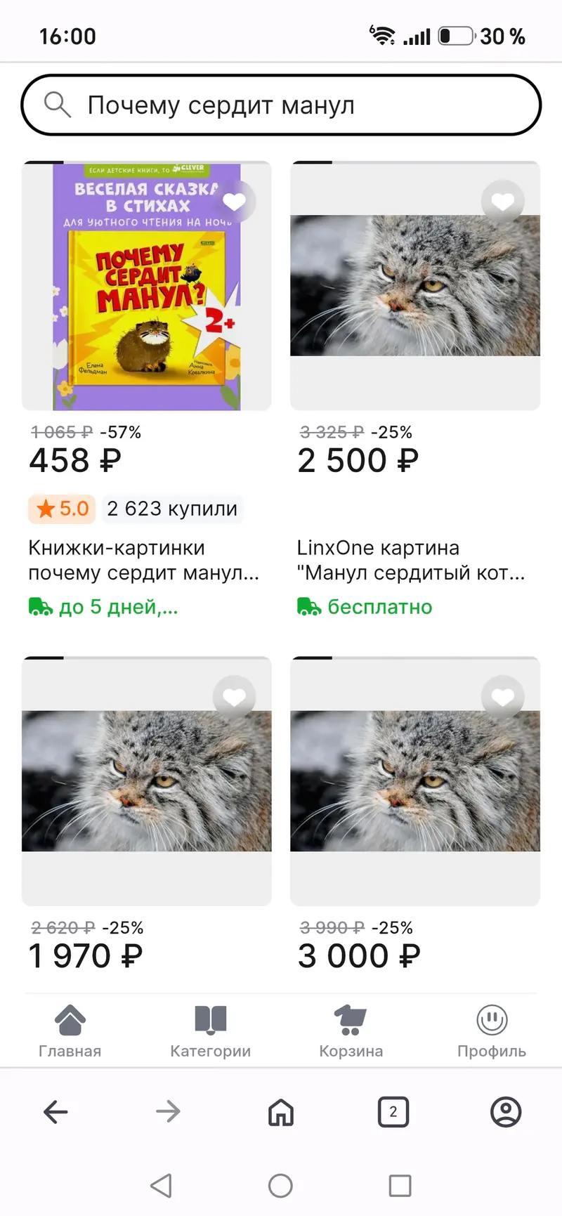 Фотография с манулом
