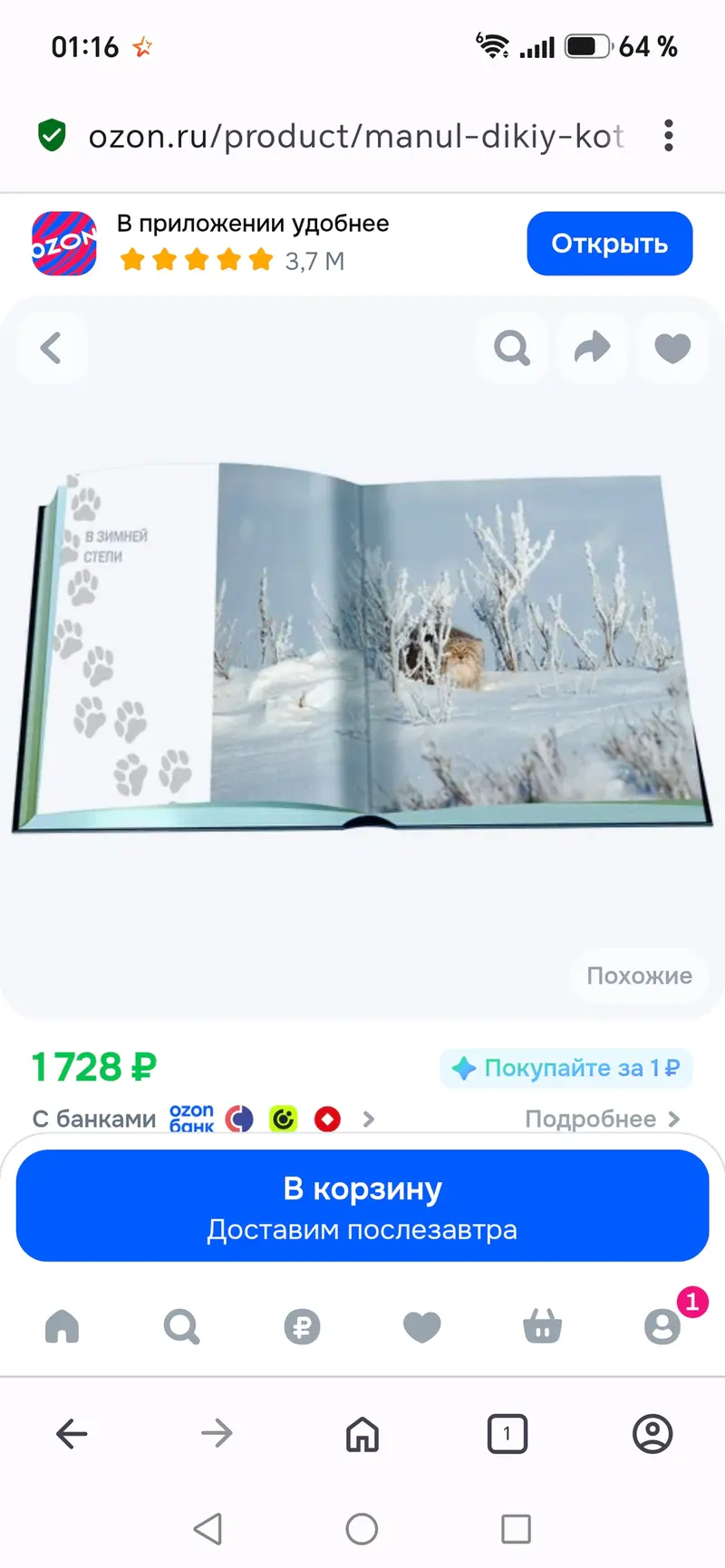 Фотография с манулом