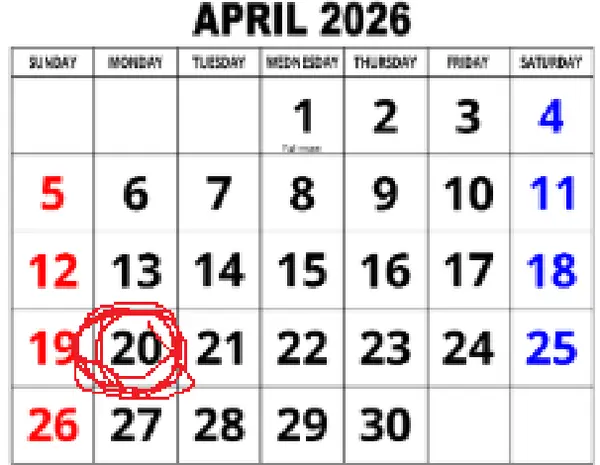 Фотография с манулом