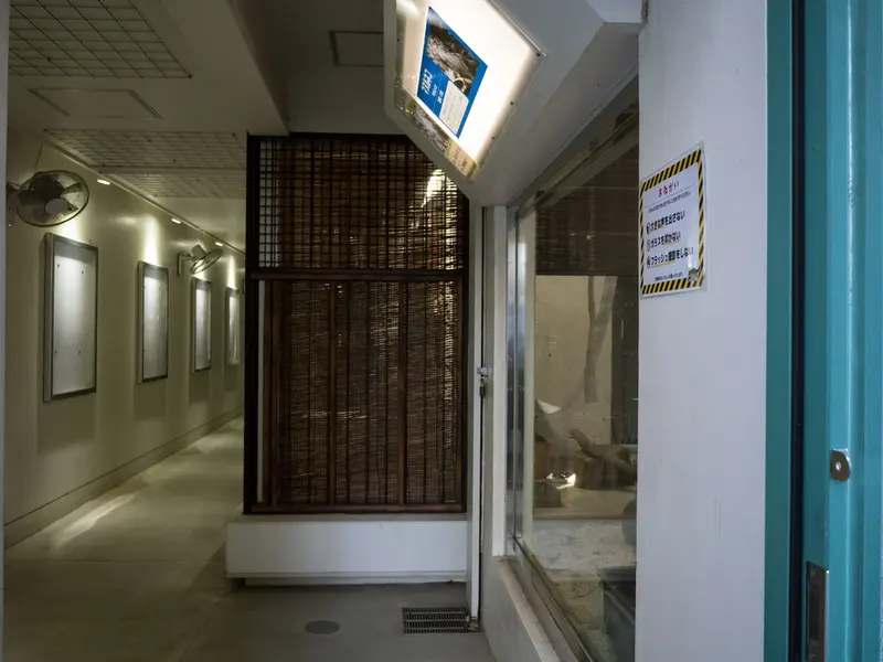 Фотография с манулом в Зоопарке Ногеяме