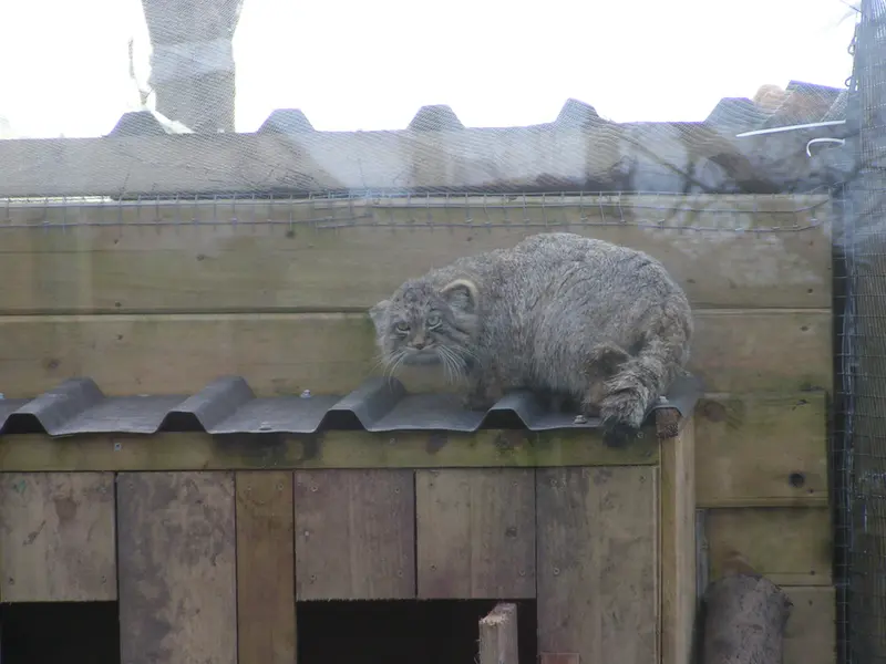 Фотография Алтая в Лэйклэнде Вайлдлайф Оазисе