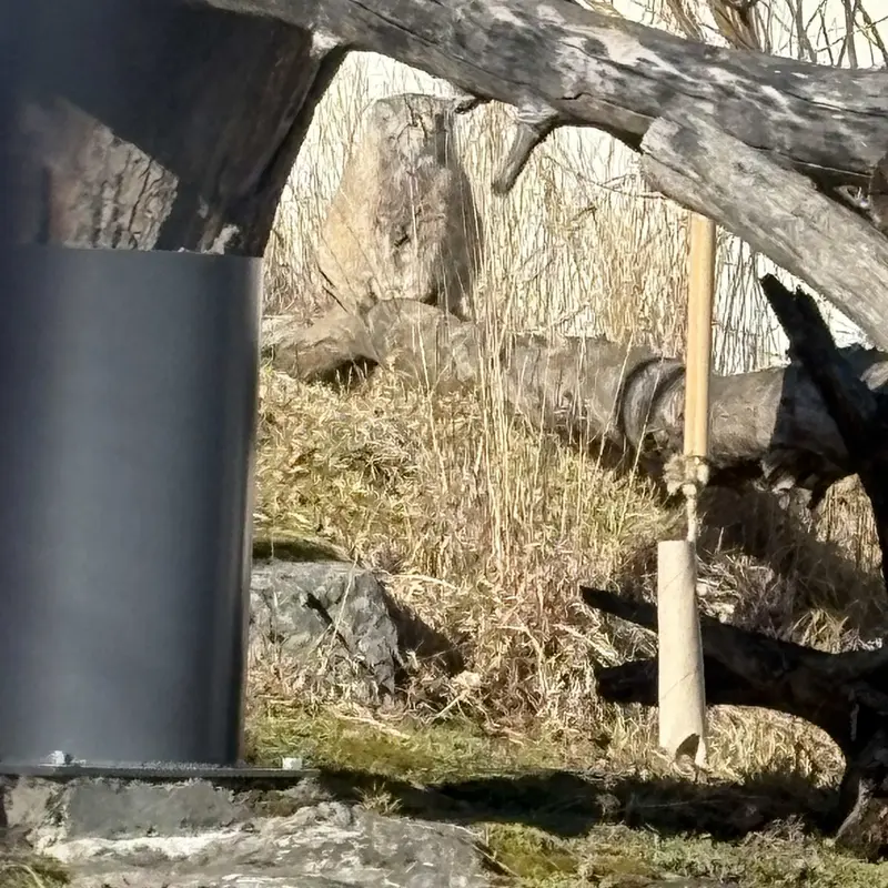 Фотография Мими в Зоопарке Коркеасаари