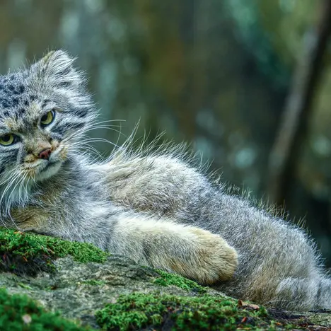 Фотография Томаса О’Мэлли в Норденс Арк