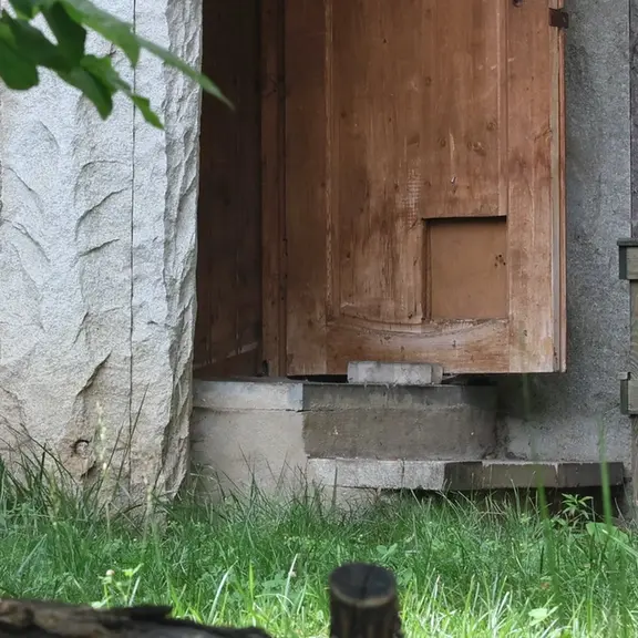 Фотография с манулом в Московском Зоопарке