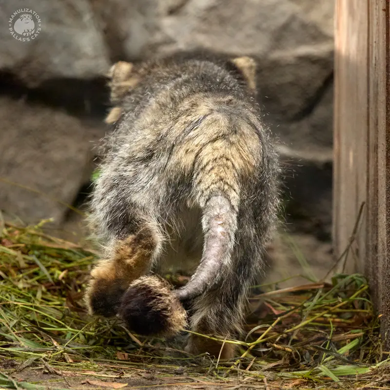 Фотография Караганды в Новосибирском Зоопарке