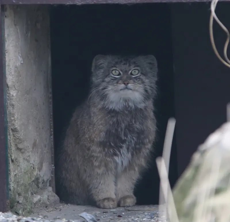 Фотография Плутона в Остравском Зоопарке