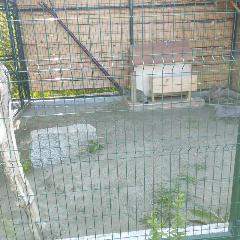 Фотография Чипа в Барнаульском Зоопарке «Лесная сказка»