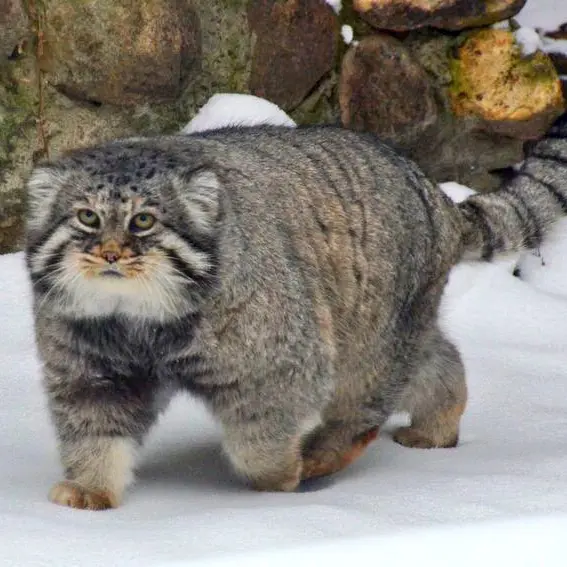 Фотография Вадима в Московском Зоопарке