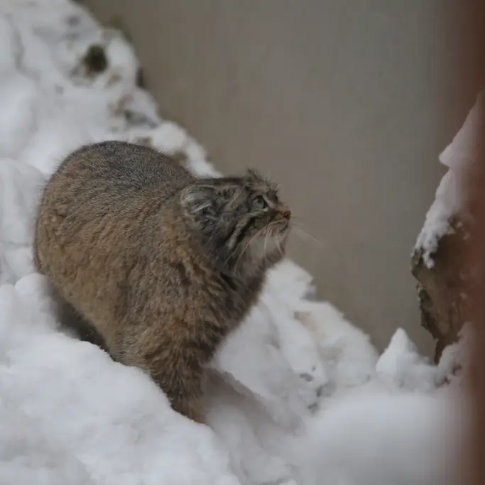 Фотография Улы в Гданском Зоопарке