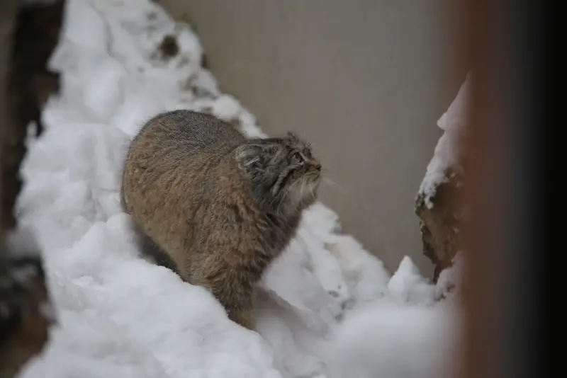 Фотография Улы в Гданском Зоопарке