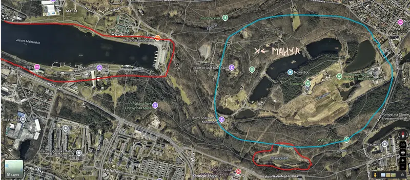 Фотография с манулом