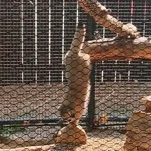 Фотография Каза в Зоопарке Великих равнин