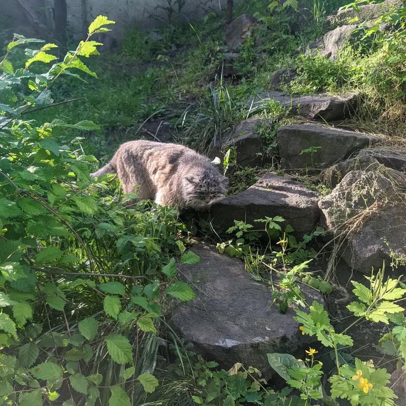 Фотография Бохуша в Будапештском Зоопарке