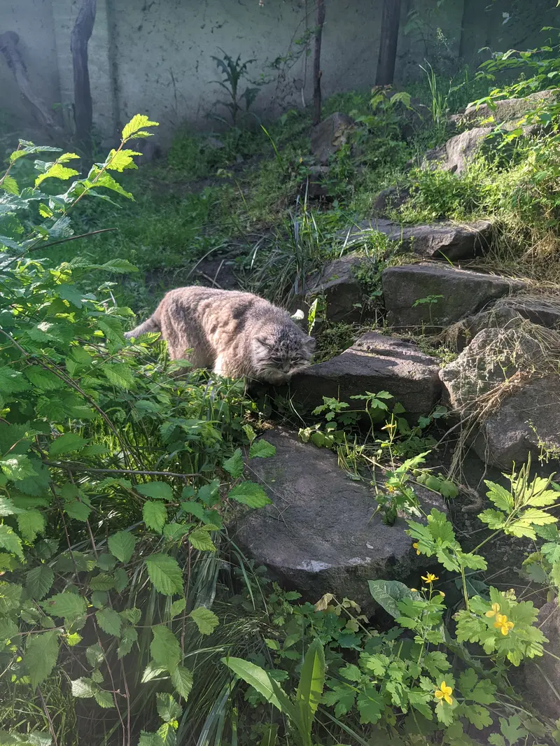 Фотография Бохуша в Будапештском Зоопарке