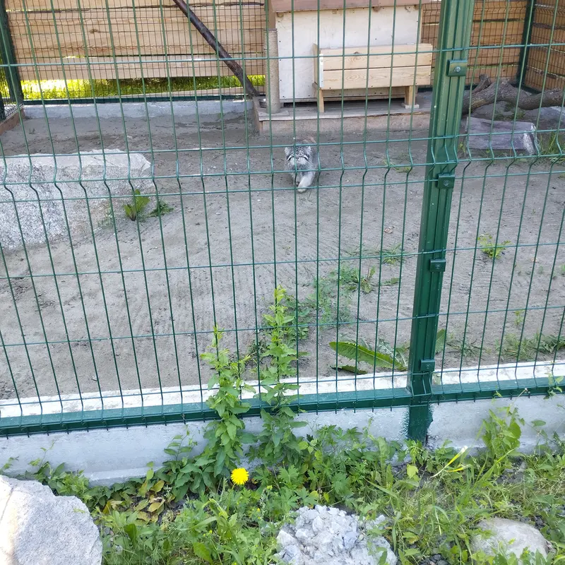 Фотография Чипа в Барнаульском Зоопарке «Лесная сказка»