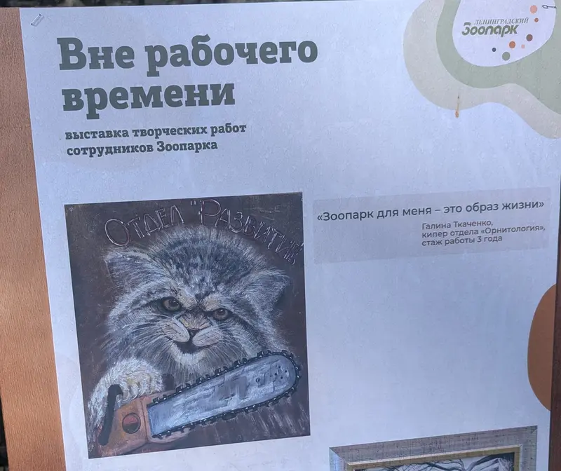 Фотография с манулом в Ленинградском Зоопарке