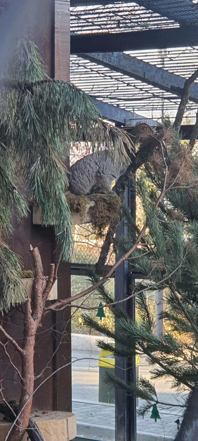 Фотография Бориса в Роевом ручье