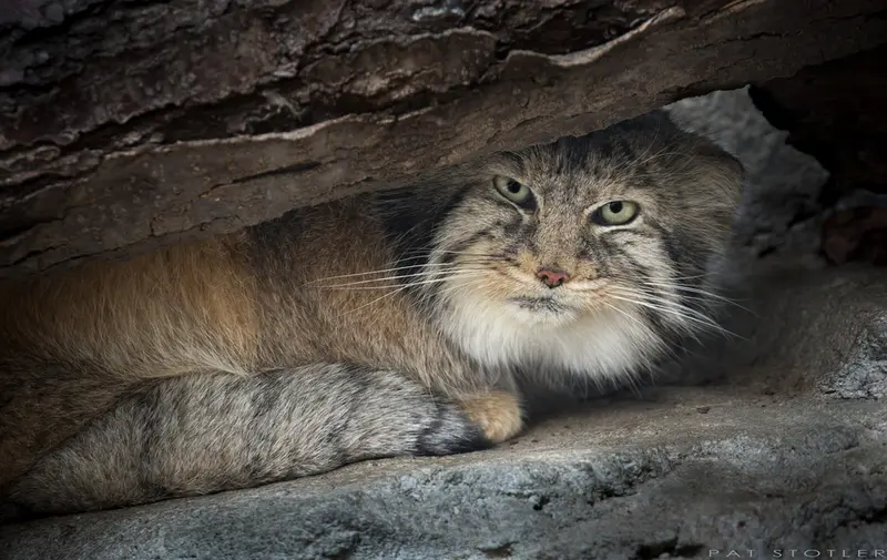 Фотография Павла в Зоопарке и аквариуме Колумбуса