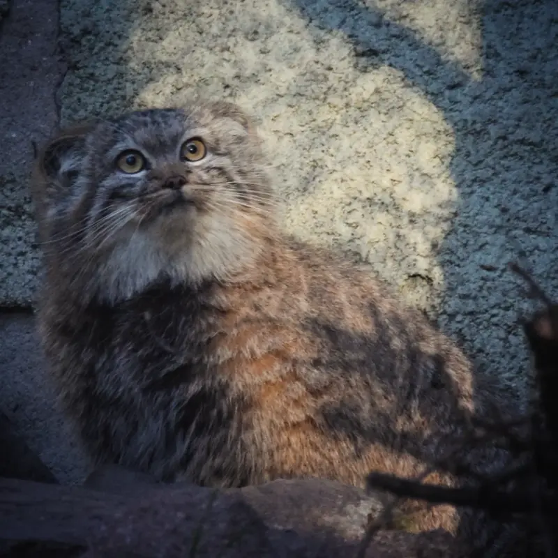 Фотография Люси в Будапештском Зоопарке