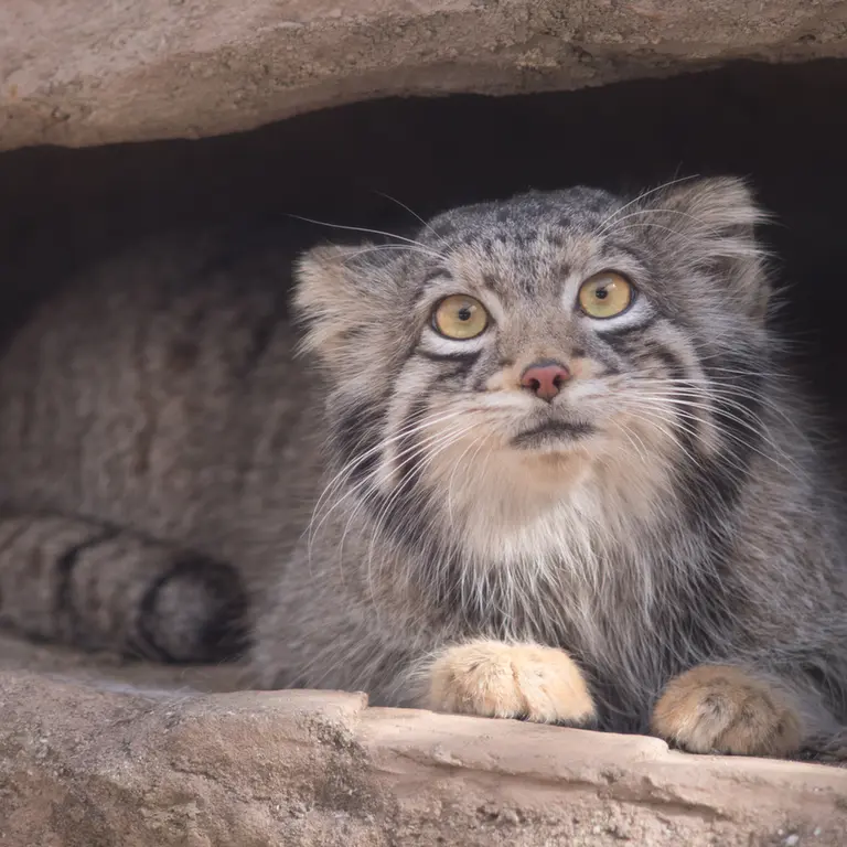 Фотография Ото в Детском зоопарке Сайтама