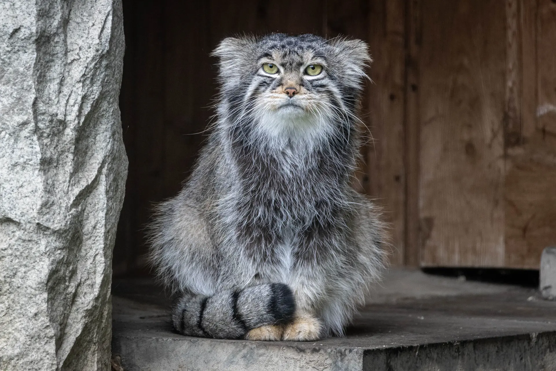 48THHNCzoaKKN6E3_mw-1920.webp