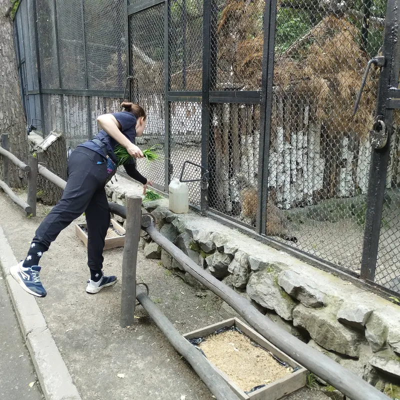 Фотография Жоры в Новосибирском Зоопарке