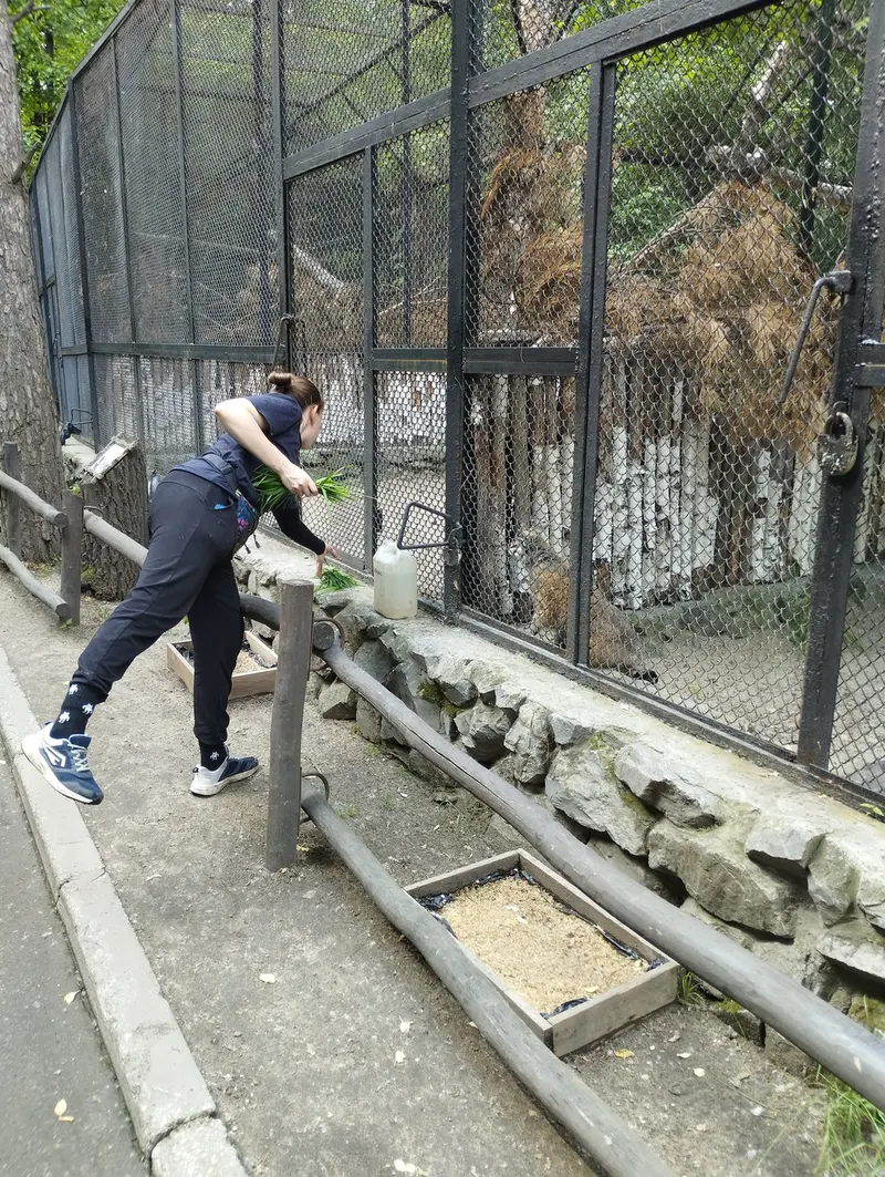 Фотография Жоры в Новосибирском Зоопарке