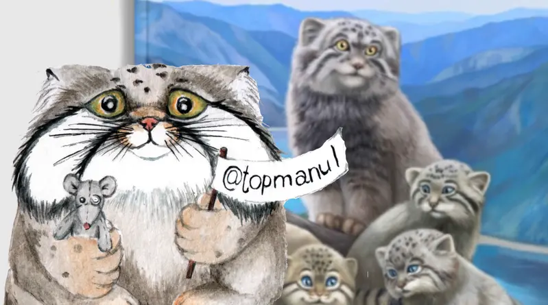 Фотография с манулом