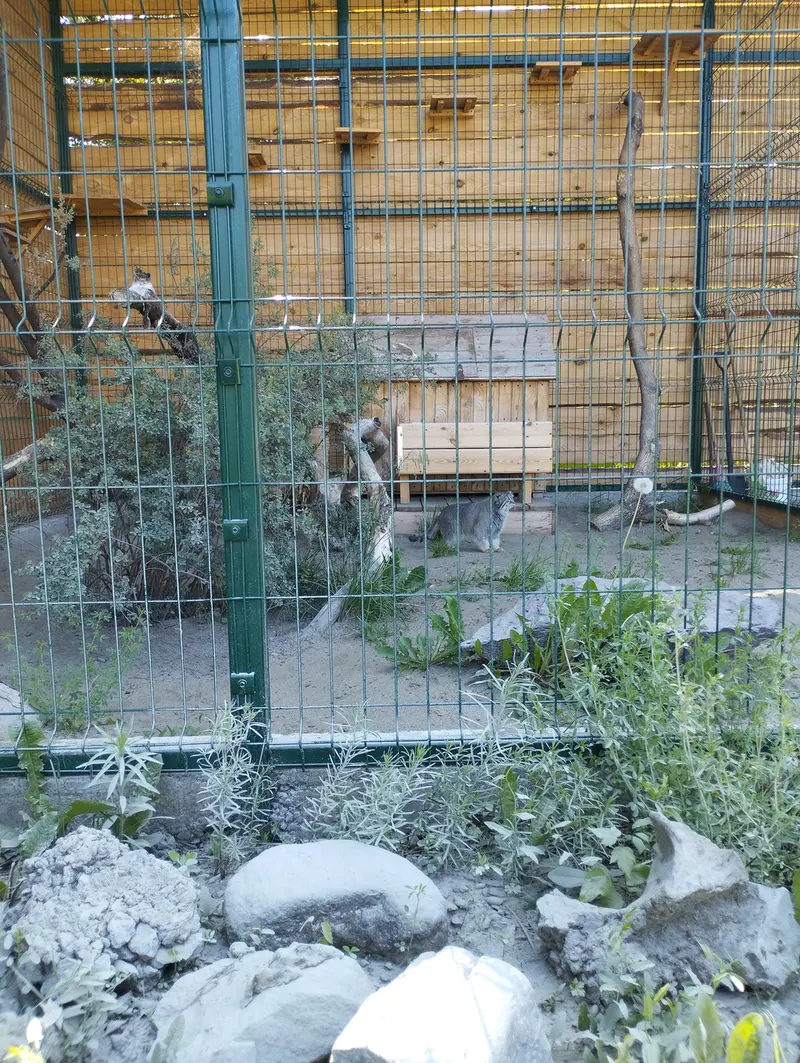 Фотография Пепе в Барнаульском Зоопарке «Лесная сказка»