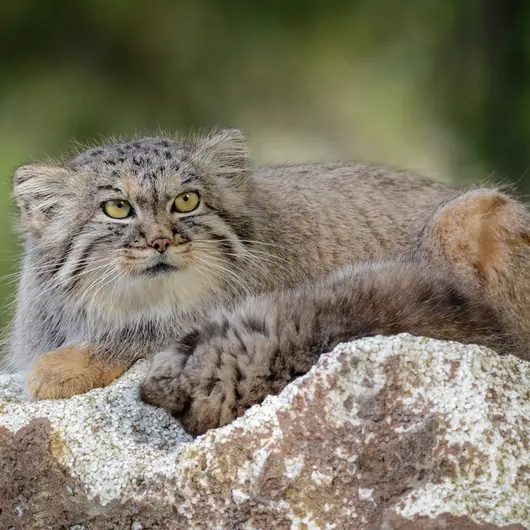 Фотография Агнеты в Зоопарке Паркен