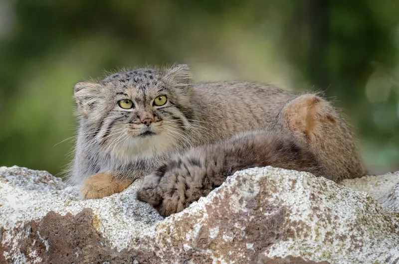Фотография Агнеты в Зоопарке Паркен