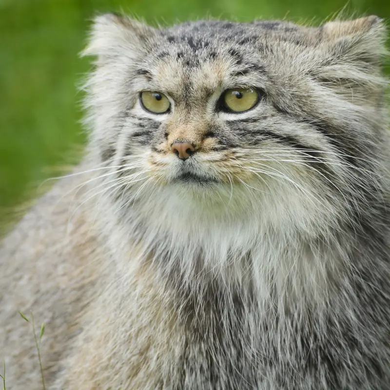 Фотография Агнеты в Зоопарке Паркен