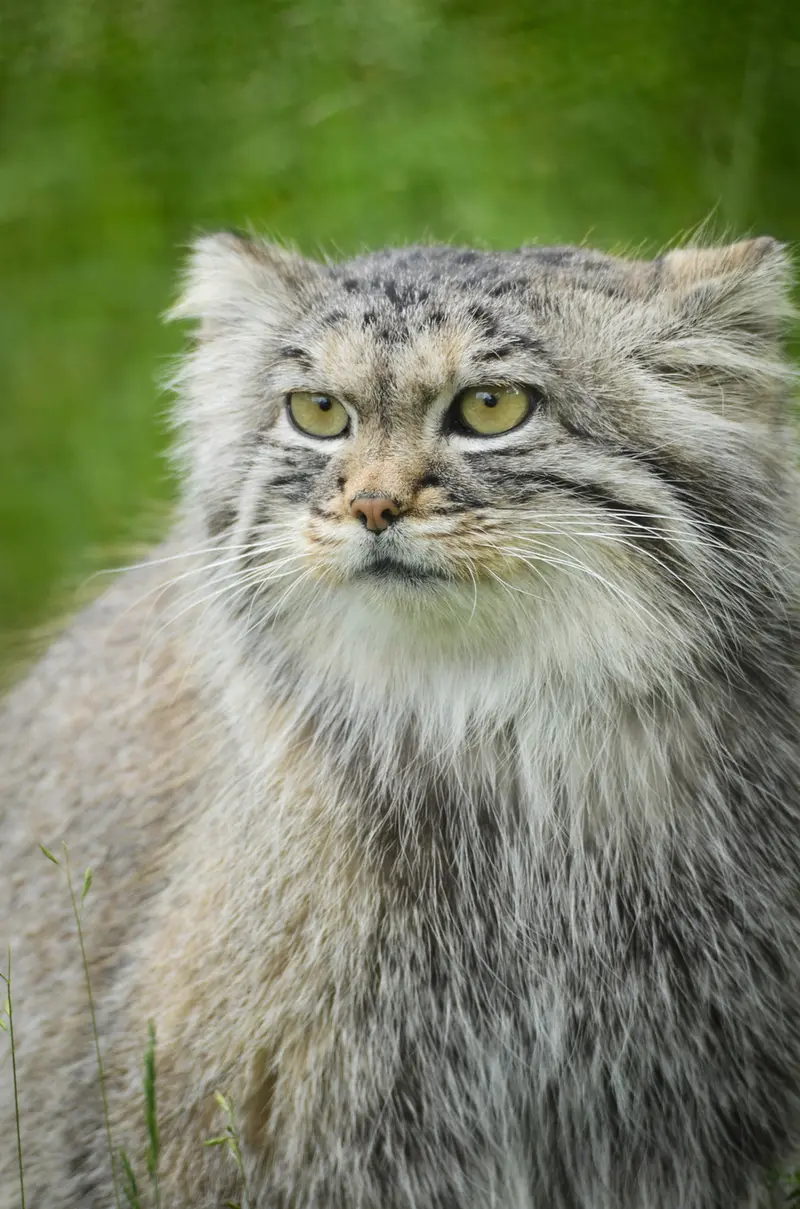 Фотография Агнеты в Зоопарке Паркен